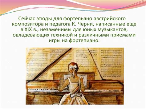 История и особенности нимесила
