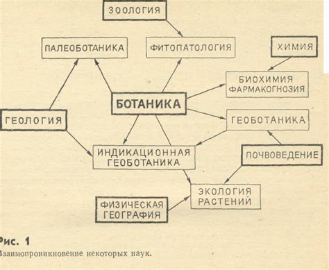 История и развитие ботаники