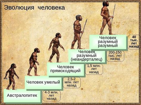 История появления и развития люверсов
