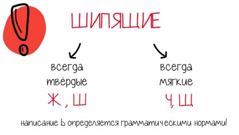 История правил написания после щ