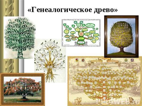 История семьи Матрениных: судьба Фаддея и его жены