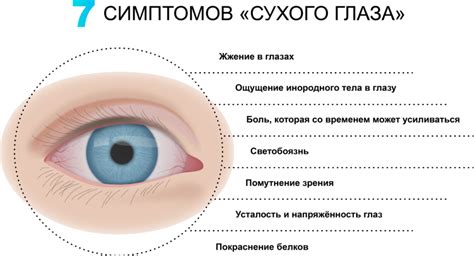 Источники слизи в глазу