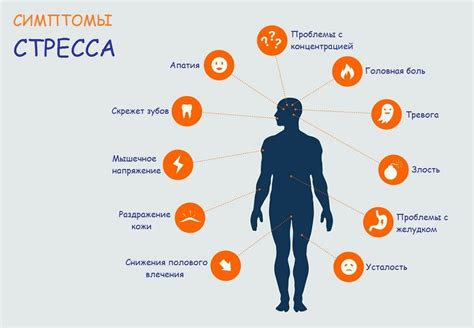 Источники стресса при снижении веса и их влияние