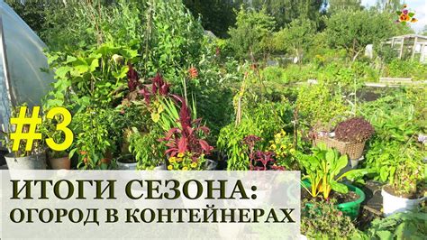 Итоги и полезные советы