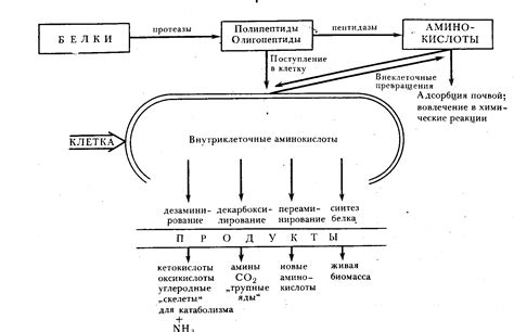 Итоговая фиксация