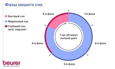 Их влияние на начало дня