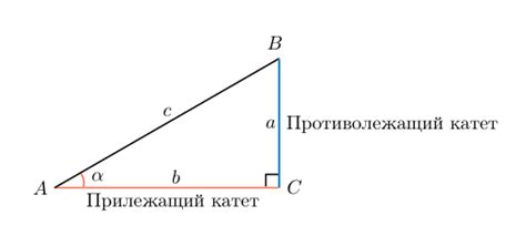 Ищем катет с использованием синуса