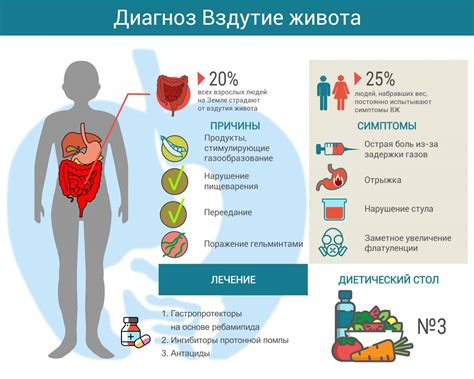Кабачки и вздутие живота: причины и советы
