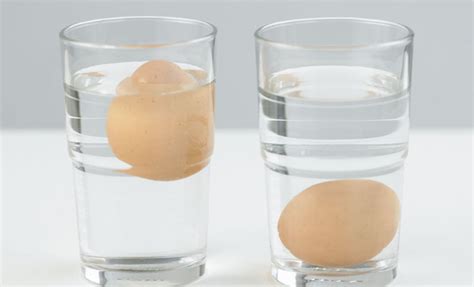Какая вода лучше всего подходит для проверки свежести яйца