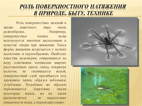Какая роль у поверхностных веществ в процессе сушки