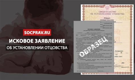 Какие аргументы могут помочь при установлении отцовства без участия матери