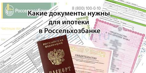 Какие документы необходимы для успешной заявки в Россельхозбанке