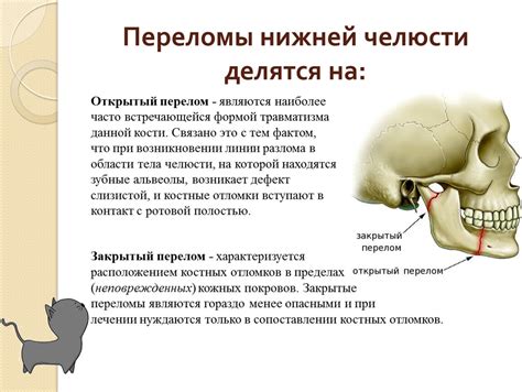 Какие продукты способствуют укреплению контрастной нижней челюсти и подтяжке кожи