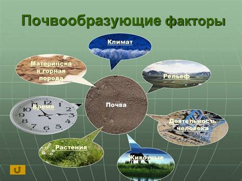 Какие факторы влияют на образование капель: