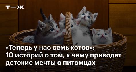 Какие факторы приводят к зависанию у котов