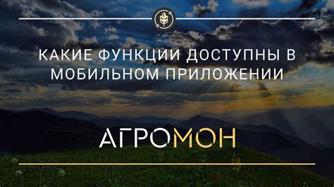 Какие функции доступны в приложении Циан