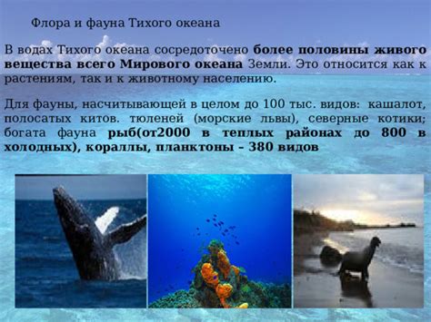 Какими солями богата вода Тихого океана