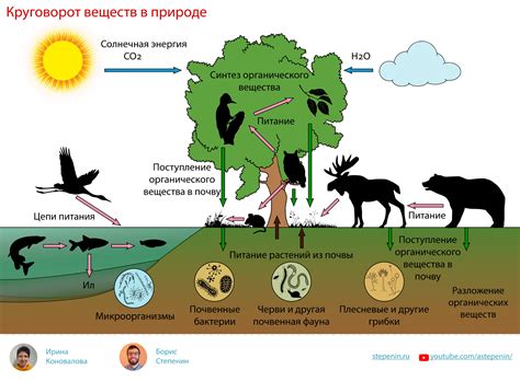 Какую роль играет материал при возникновении запаха