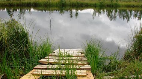 Как арендовать водоем у государства: руководство по аренде водоемов