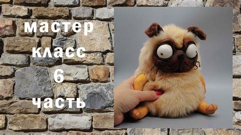 Как безопасно сушить мопса