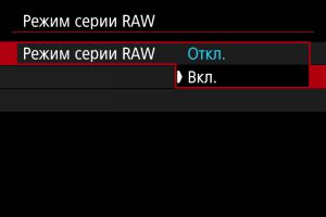 Как включить режим RAW на Canon 60D: пошаговое руководство