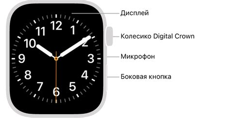 Как включить русский язык на Apple Watch