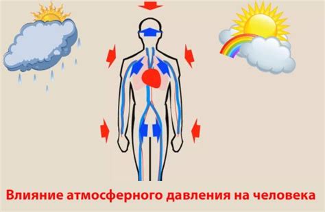 Как влияет изменение времени на организм