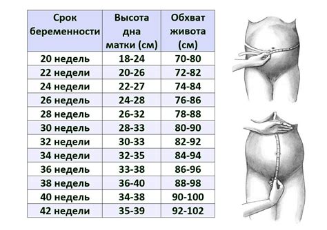 Как восстановить плоский живот после родов - 6 способов устранения диастаза прямых мышц живота