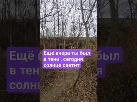 Как встретить холодную вьюгу в городе и на природе