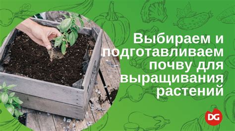 Как выбрать горшок и подготовить почву для вейгелы