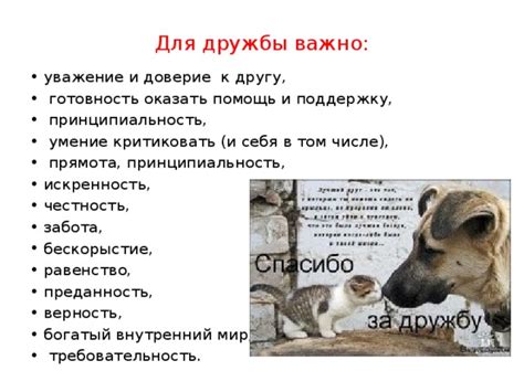 Как выбрать лот и оказать поддержку другу