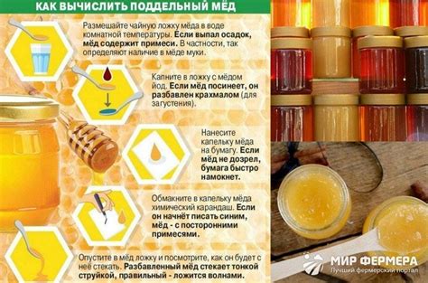 Как выбрать натуральный мед: основные признаки