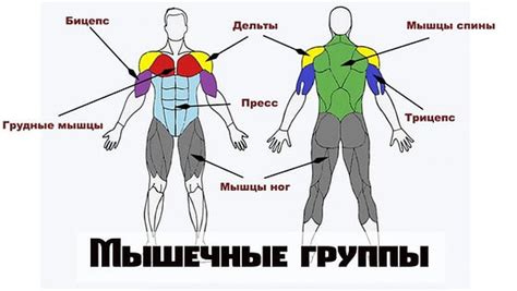 Как достичь идеальной фигуры: советы и рекомендации