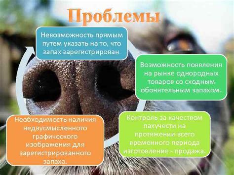 Как запах курицы может указать на проблемы