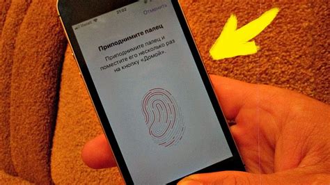 Как защитить отпечаток пальца на iPhone 8 Plus от несанкционированного доступа