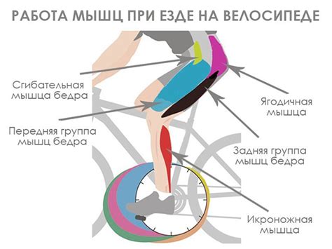 Как избежать проблем с дыханием при катании на велосипеде при заболеваниях дыхательной системы