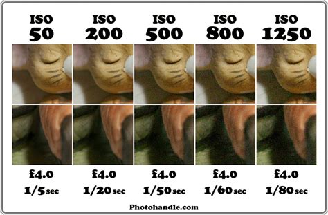 Как избежать шума при высоком ISO на Nikon D3100