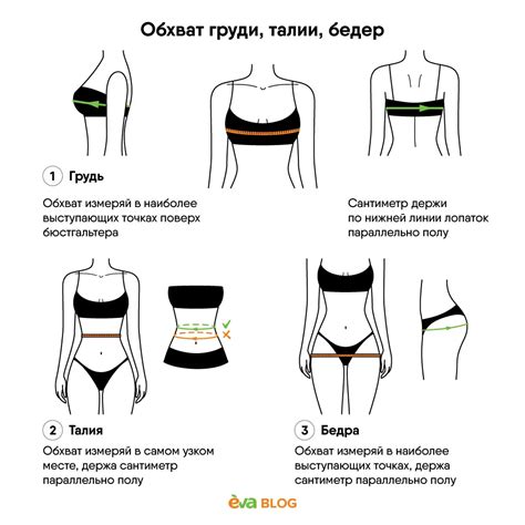 Как измерить талию для определения размера