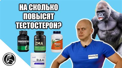 Как использовать бустеры для повышения баунти