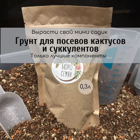 Как использовать грунт пон в пищу: рецепты и рекомендации