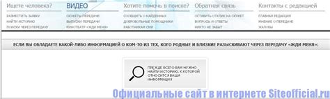 Как использовать поиск в архиве программы Жди меня