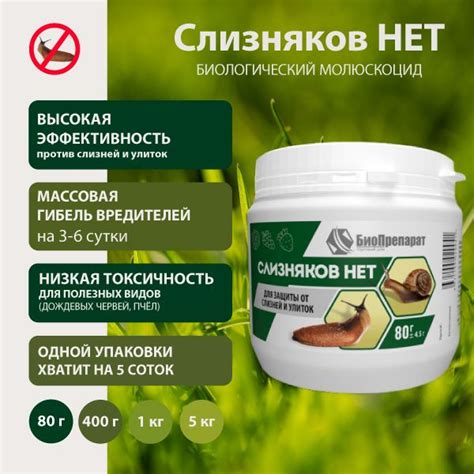 Как использовать препараты для уничтожения слизняков