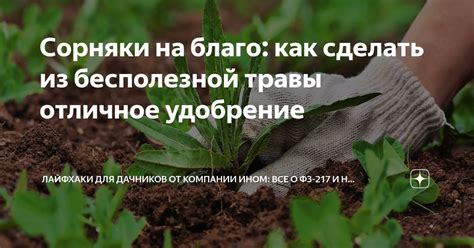 Как использовать сорняки для проверки наличия буквы о