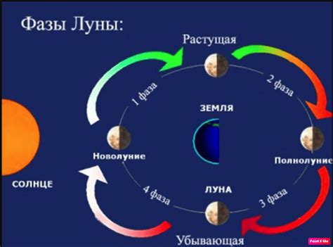 Как использовать фазы Луны в повседневной жизни