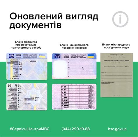 Как минимизировать риски при проверке водительских прав онлайн