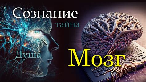 Как мозг считает время и поддерживает нас в ритме