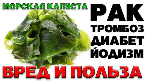 Как морская капуста помогает при аллергии