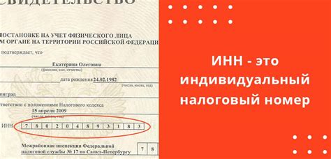 Как найти ИНН ООО