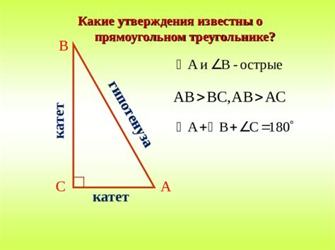 Как найти длину катета треугольника