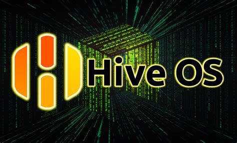Как найти настройки рига в Hive OS